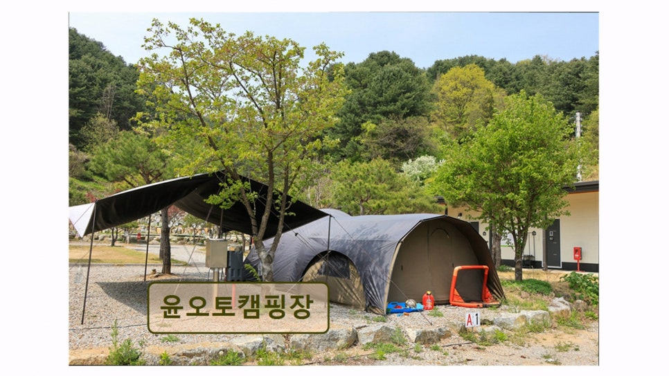 윤오토캠핑장 사진 3