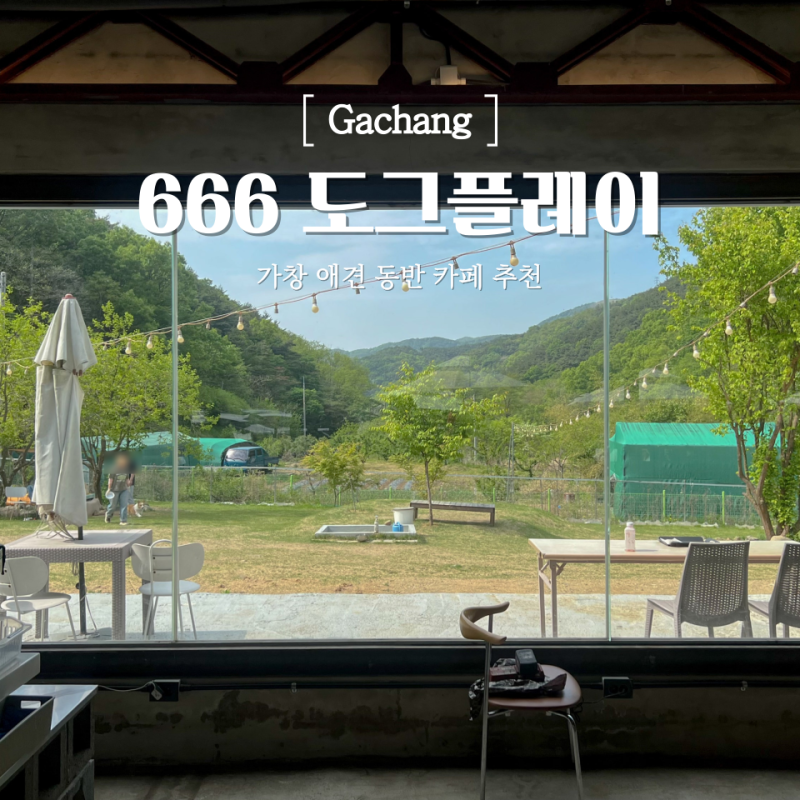 666도그플레이 — 달성군