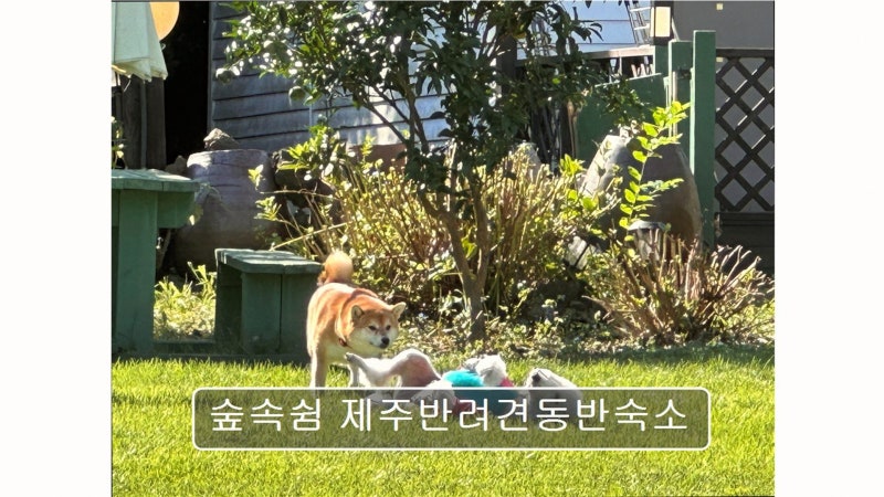사진 2