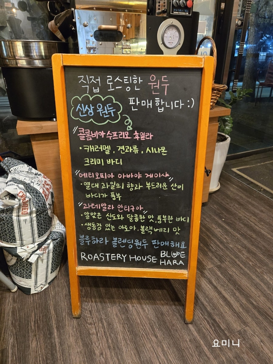 블루하라 사진 5