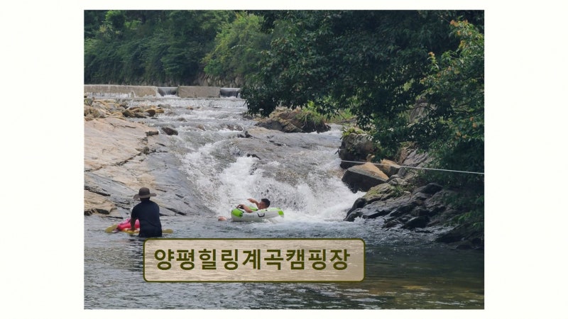 사진 2