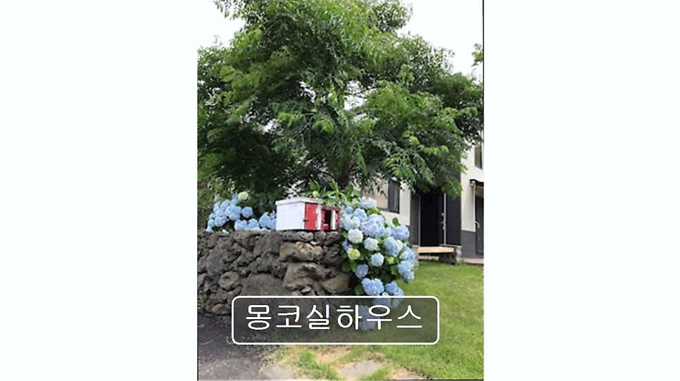 몽코실하우스 사진 2