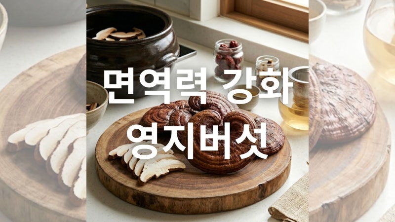 영지버섯 효능과 올바른 섭취 방법 및 주의사항 안내