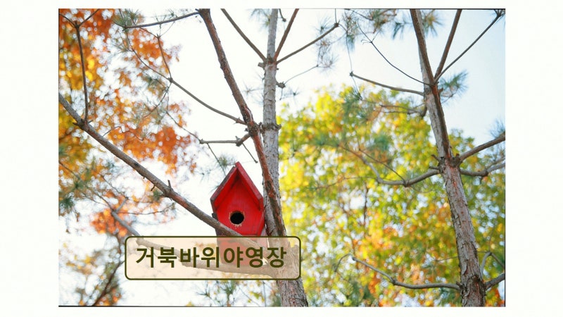 사진 2