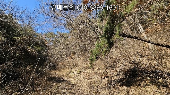  창원시 마산회원구 내서읍 삼계리 대규모 자연림 임야 경매, 미래 가치 품은 토지 투자 기회 2024타경107005 [2]
