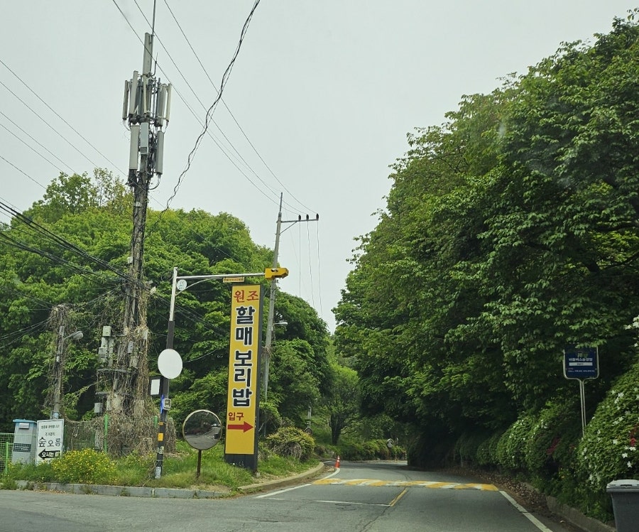 원조할매보리밥 사진 1