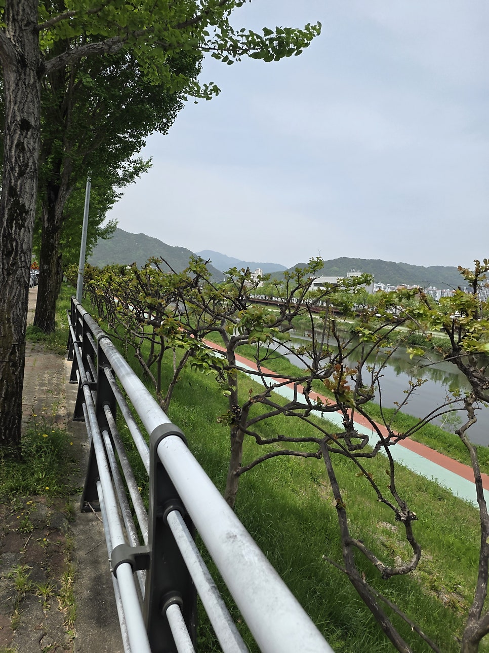 봉천식당 사진 1