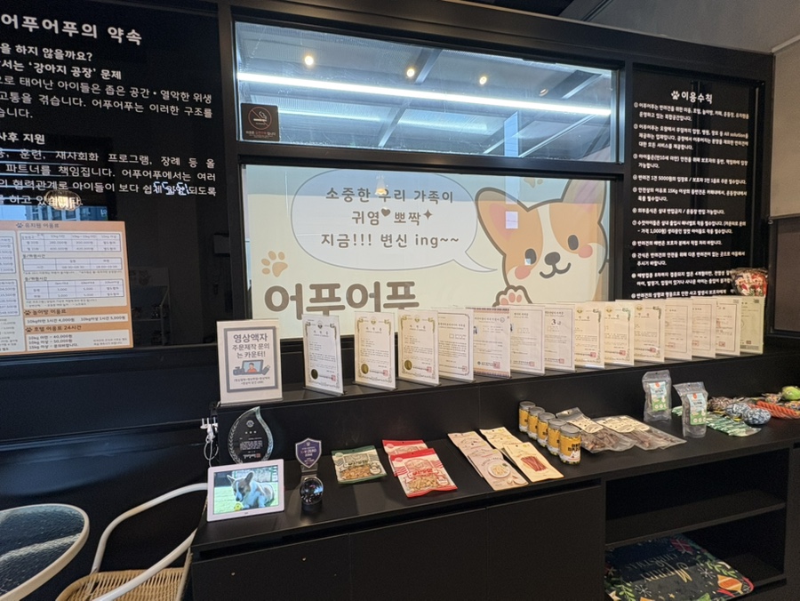 카페산책 사진 6