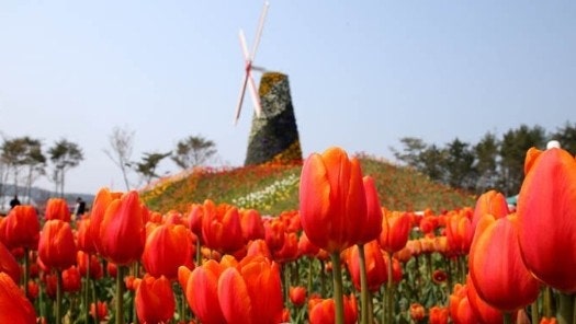 속초닭강정 사진 3