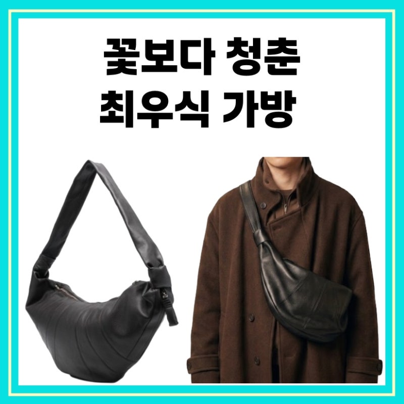 Youth Over Flowers Choi Woo-shik's Bag: Lemaire Croissant Large Cross Bag, Episode 1