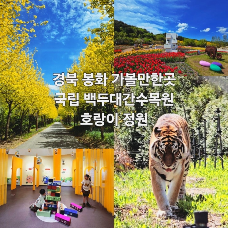 경북 봉화 <b>백두대간수목원</b> 호랑이 트램 식물원 가볼만한곳