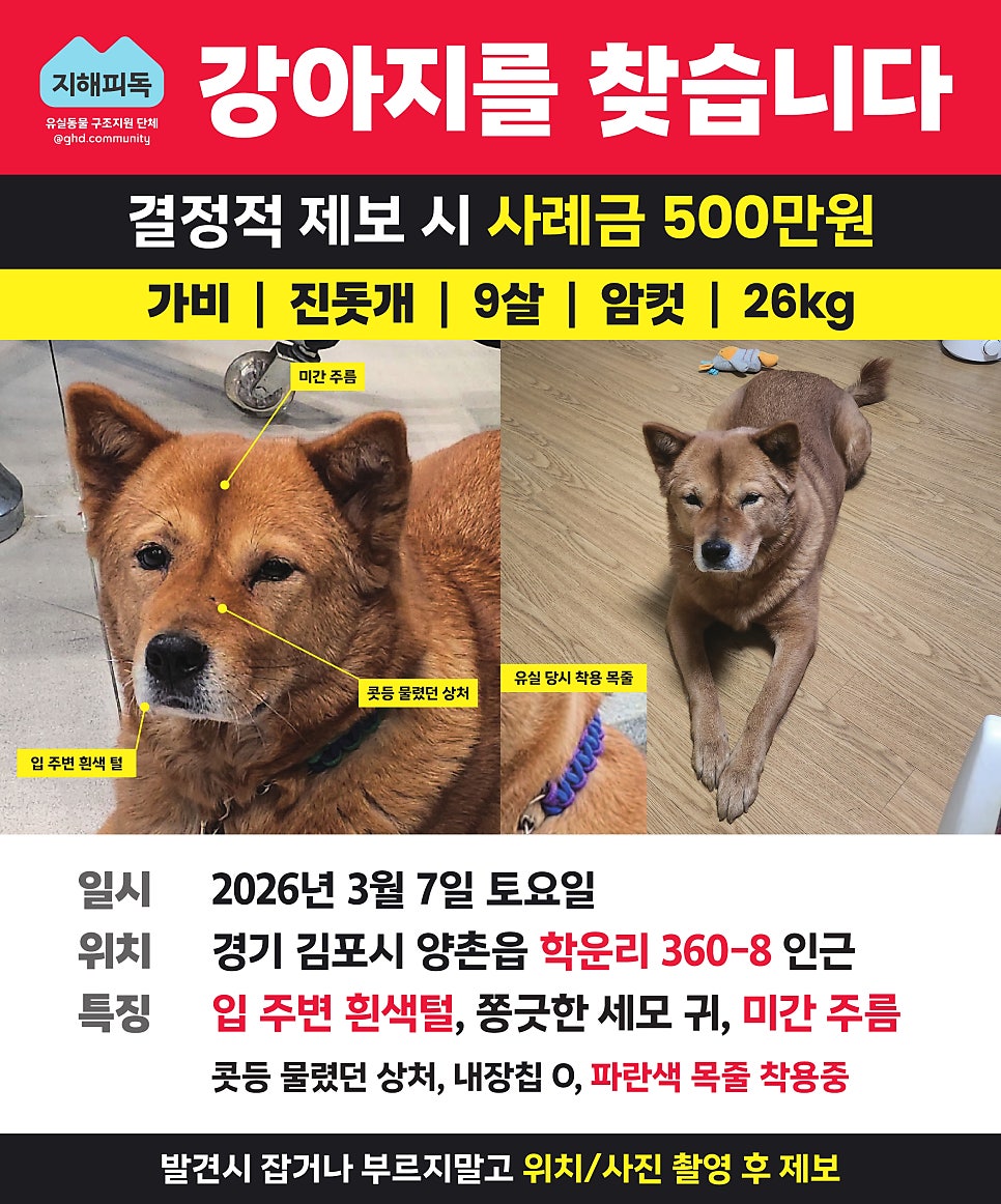 가비 사진 2