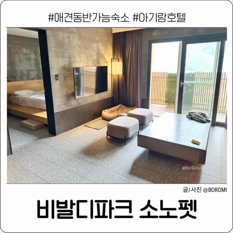 사진 10