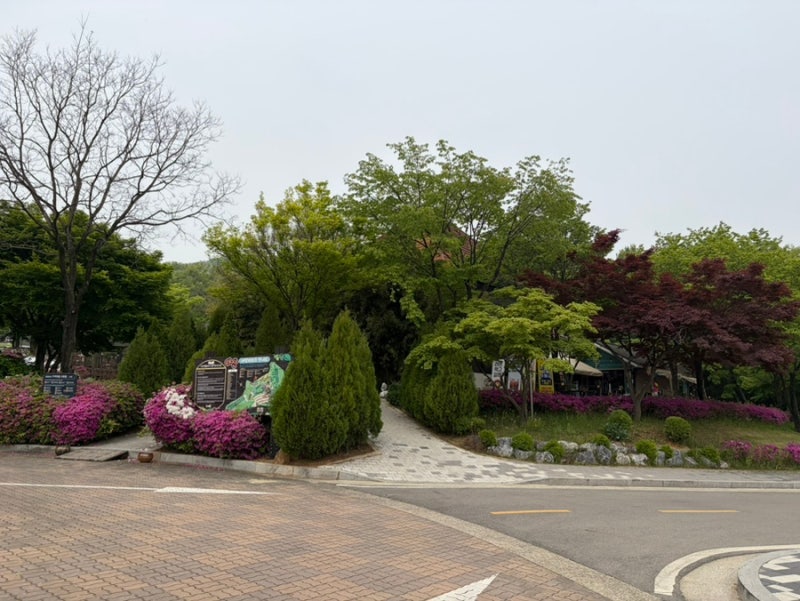 사진 6