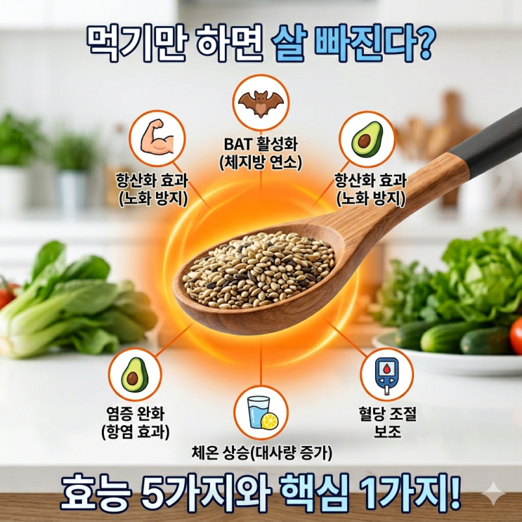  파라다이스 그레인 효능 5가지, 그런데 사람들이 모르는 핵심 1가지
