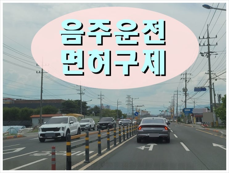  50cm 센티미터 음주운전 처벌 앞두고 있다면