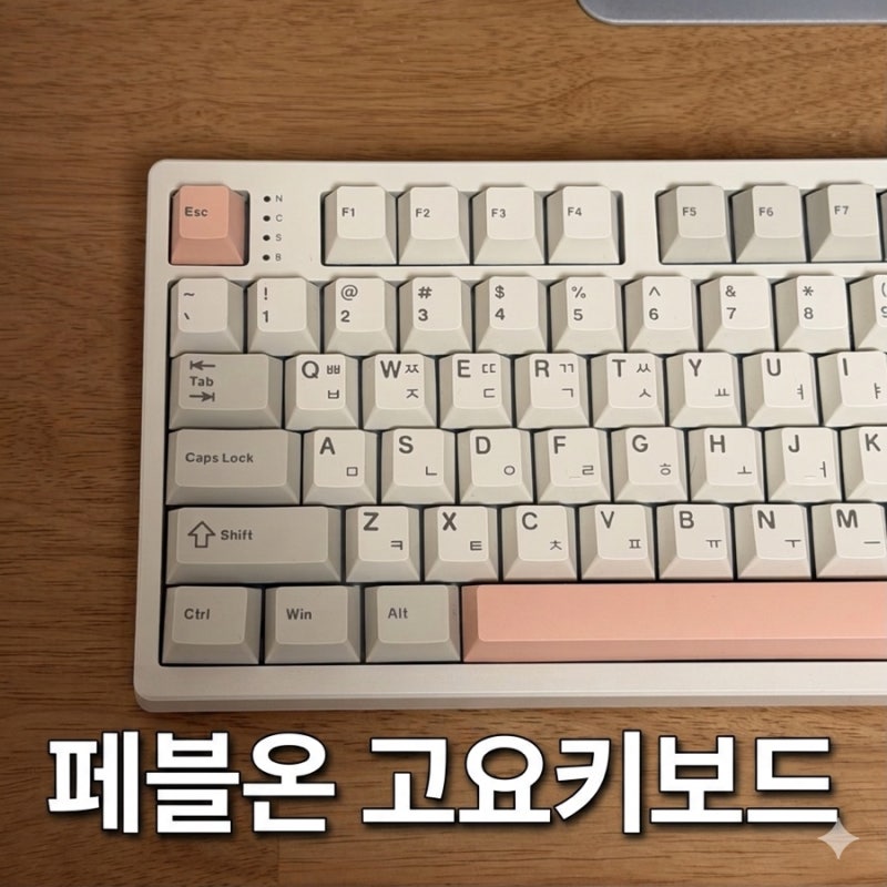 직장인 필수템! 사무실 빌런 탈출하는 저소음 키보드 추천, 페블온 고요키보드&아이스바 팜....