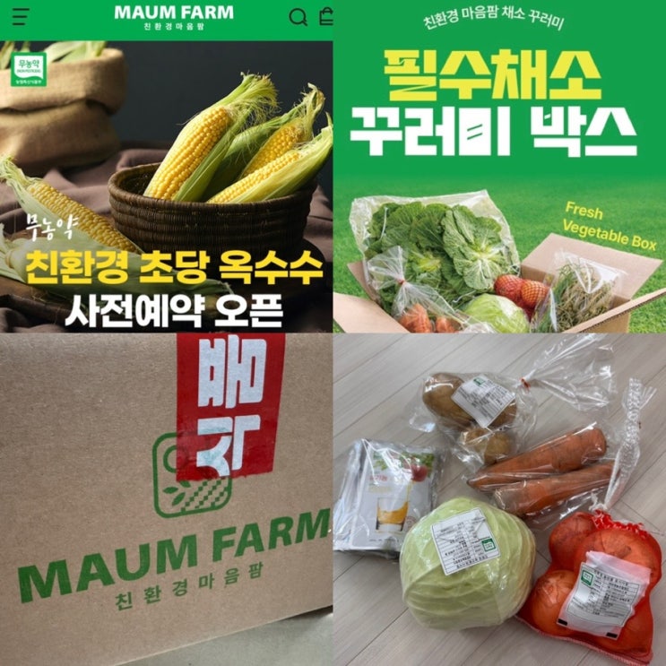  친환경마음팜 친환경초당옥수수 2026 초당옥수수사전예약 정보 & 친환경 채소 꾸러미 세트 배송 후기