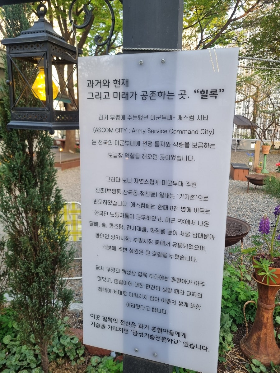 힐록 사진 3
