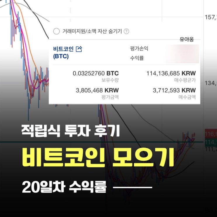  비트코인 20일 동안 꼬박 적립했더니 수익률이
