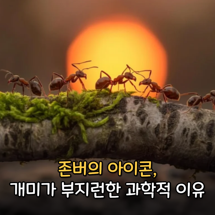  존버의 아이콘, 개미는 왜 이렇게 부지런할까?