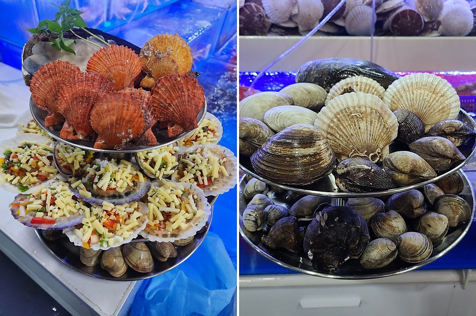 조개사냥 사진 5