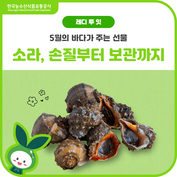 쫄깃탱글소라 200% 활용하는 손질과 보관법!