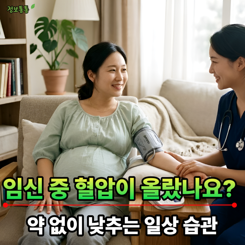 임산부 고혈압 관리 | 임신중독증 예방하는 혈압 낮추는 식단과 생활 습관