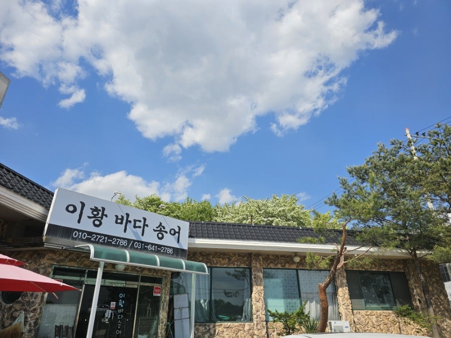 이황바다송어 사진 2