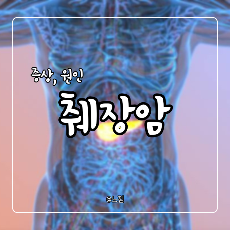 췌장암 초기증상 말기증상 및 수술