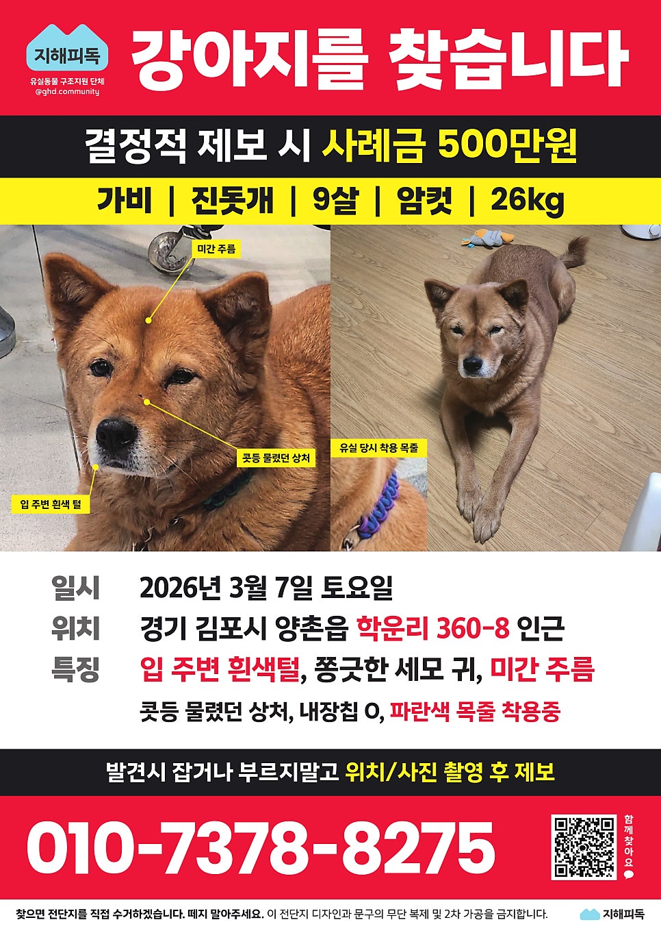 가비 사진 1