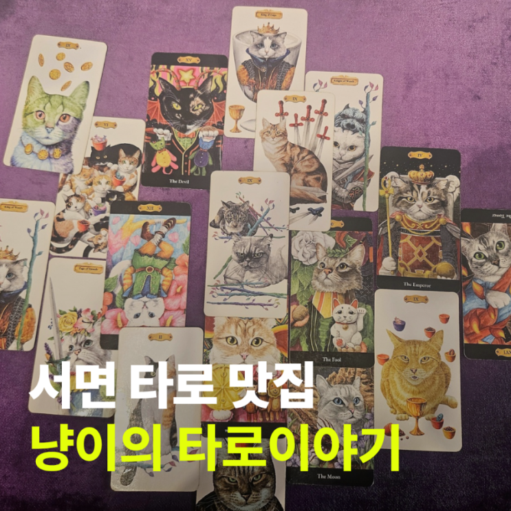  냥이의 타로이야기 | 서면타로 잘 보는 곳, 서면 데이트 추천