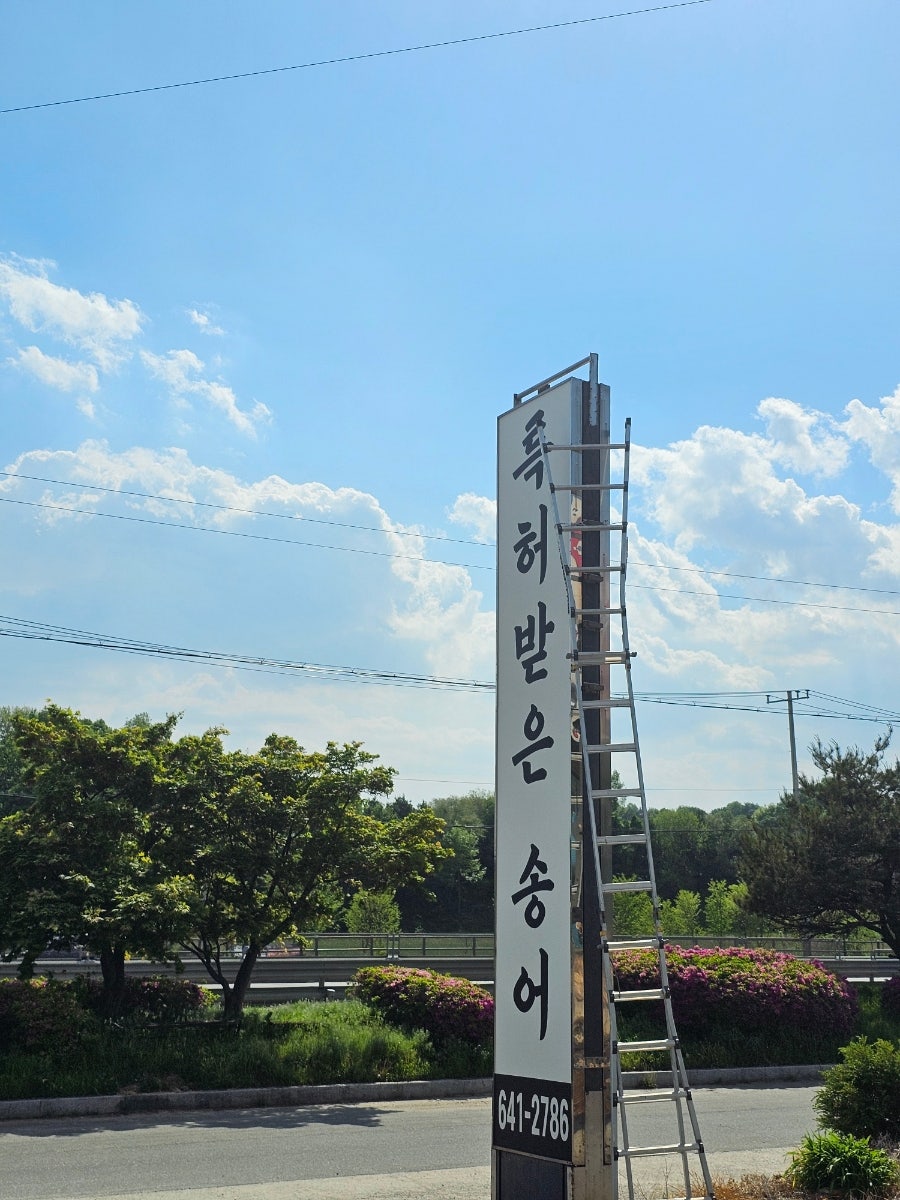 이황바다송어 사진 3