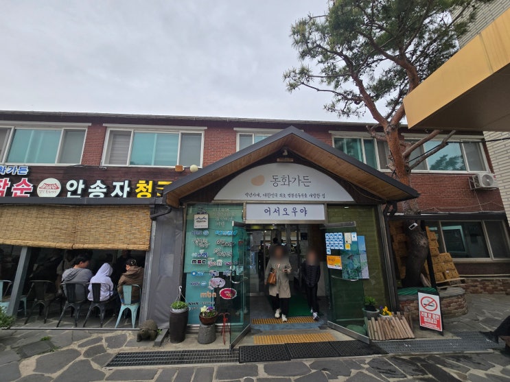  초당순두부마을 1티어 맛집, 동화가든 본점 원조짬순 솔직 후기 및 방문 전 필수 체크