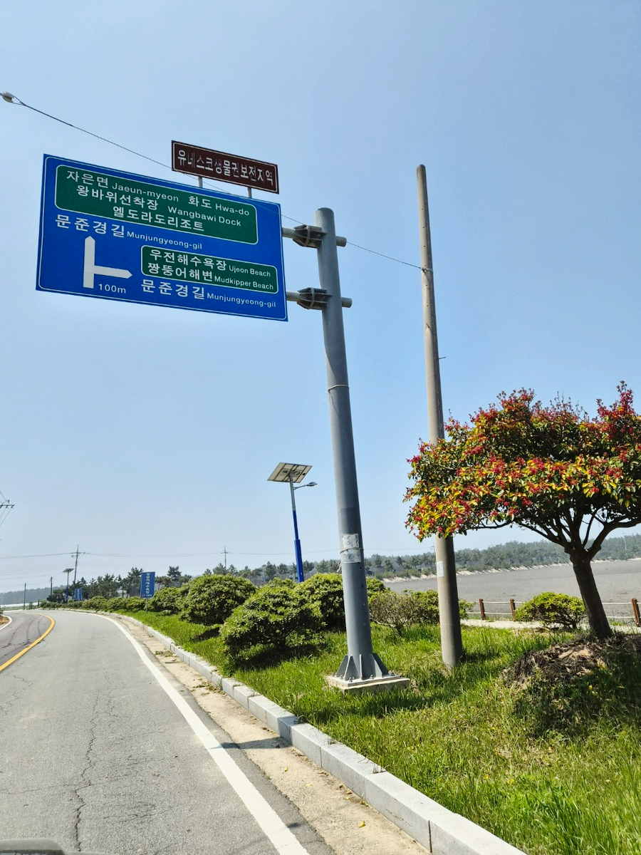 솔꽁펜션 사진 2