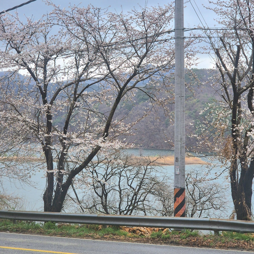 송림가든 사진 4