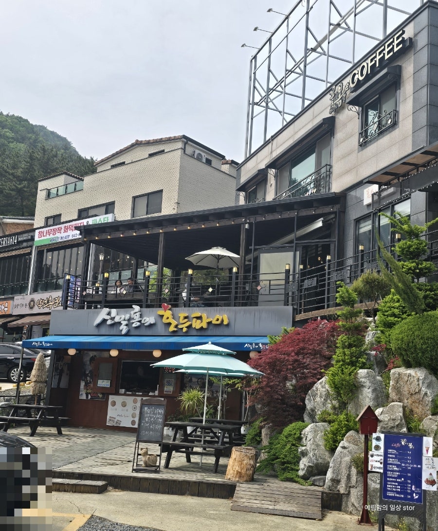 신일룡의호두파이 사진 2