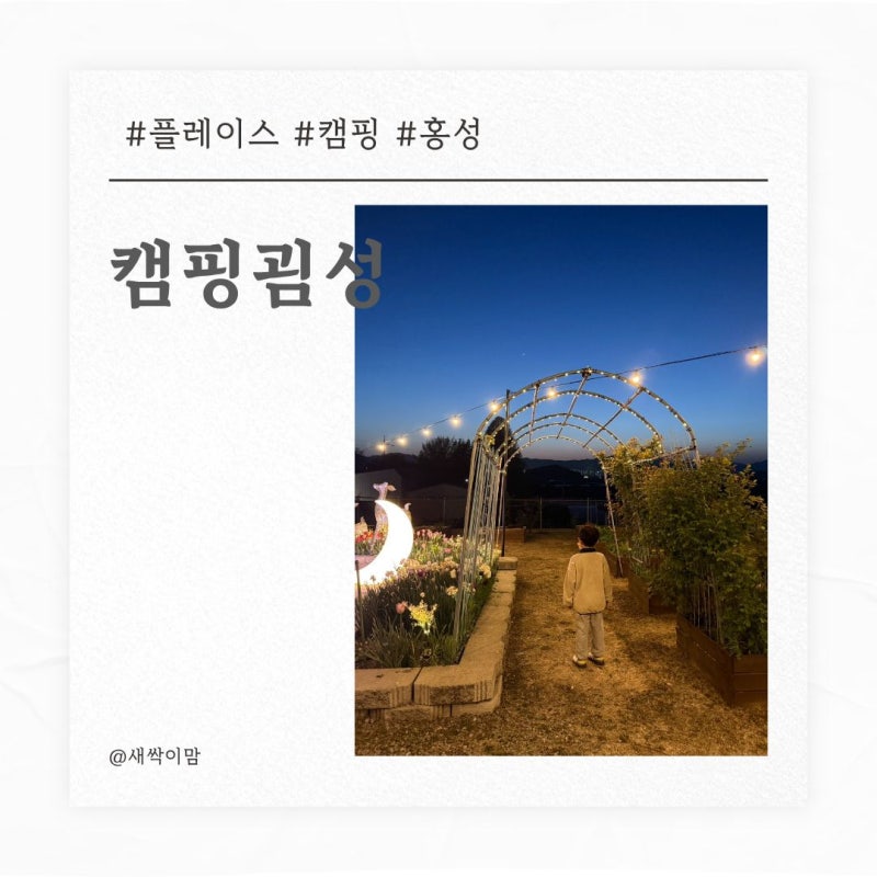 사진 7