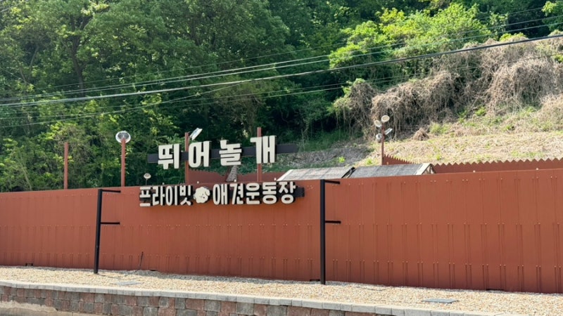 사진 3