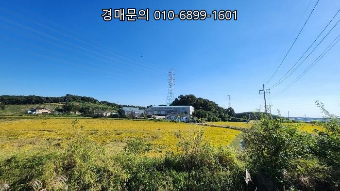  평택항 물류의 중심! 충남 아산시 인주면 2300평대 대형 공장 경매, 감정가 49% 반값 낙찰의 파격적인 기회 2024-113423