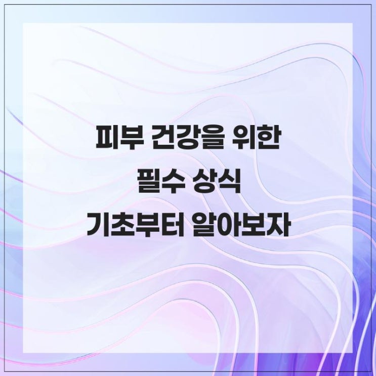  피부 건강을 위한 필수 상식 기초부터 알아보자