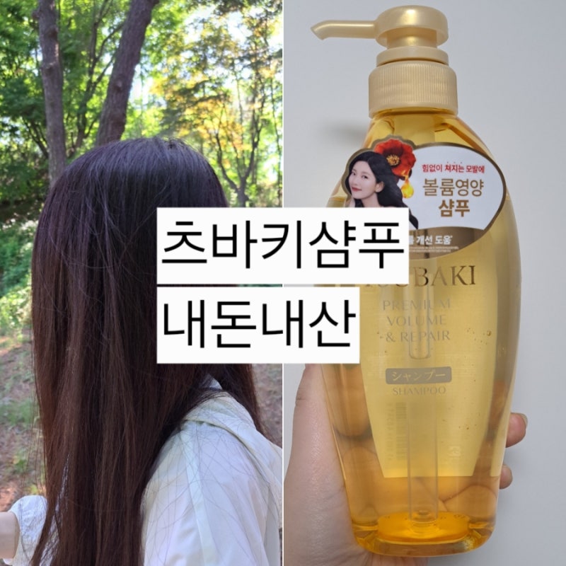 츠바키 볼륨 앤 리페어 샴푸 17년째 내돈내산 후기