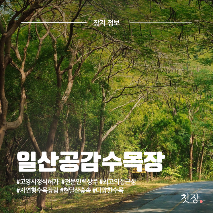  일산공감수목장 가격 비교 수도권 최적의 접근성 위치 정보 [첫장]