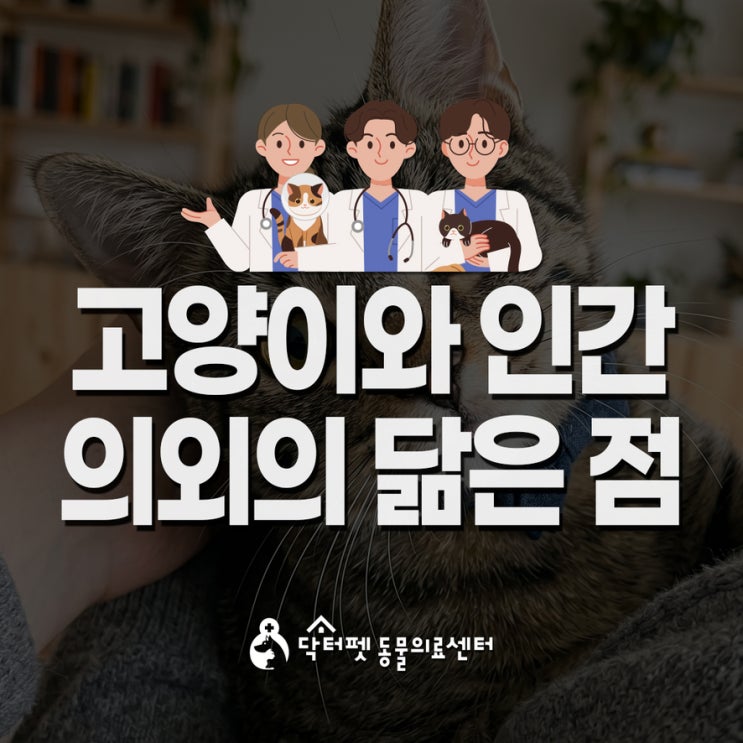  고양이 암 유전체를 살펴보니.. 인간과 닮았다 사이언스 최신 연구