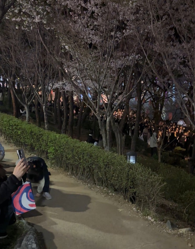  서른살 생일 근황 총정리 롯데월드부터 석촌호수, 빕스, 하이디라오까지 현실 후기