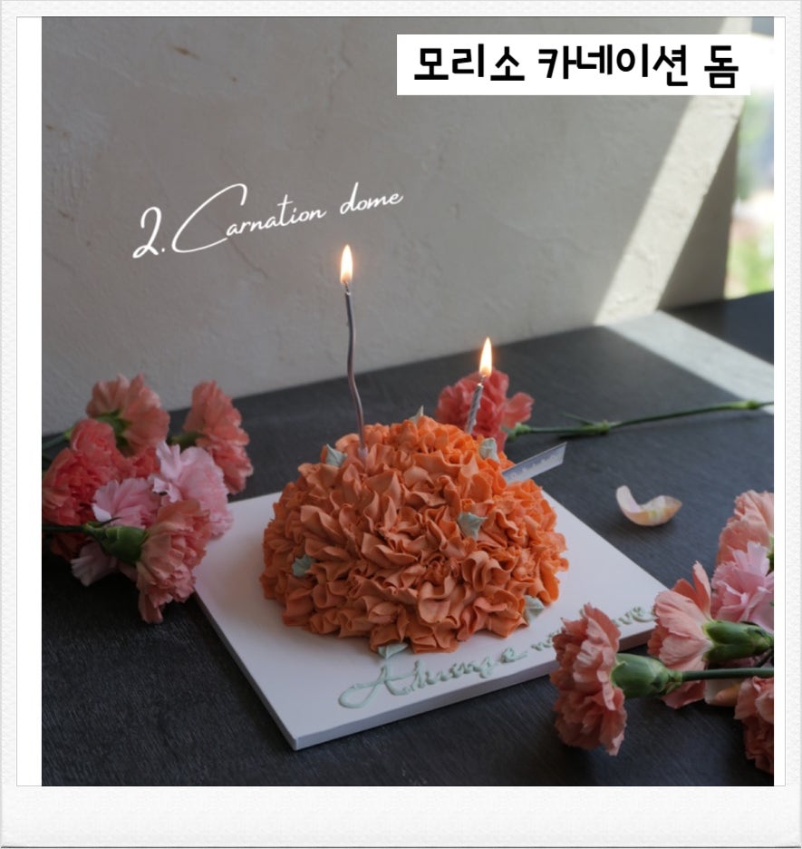 모리소 사진 6