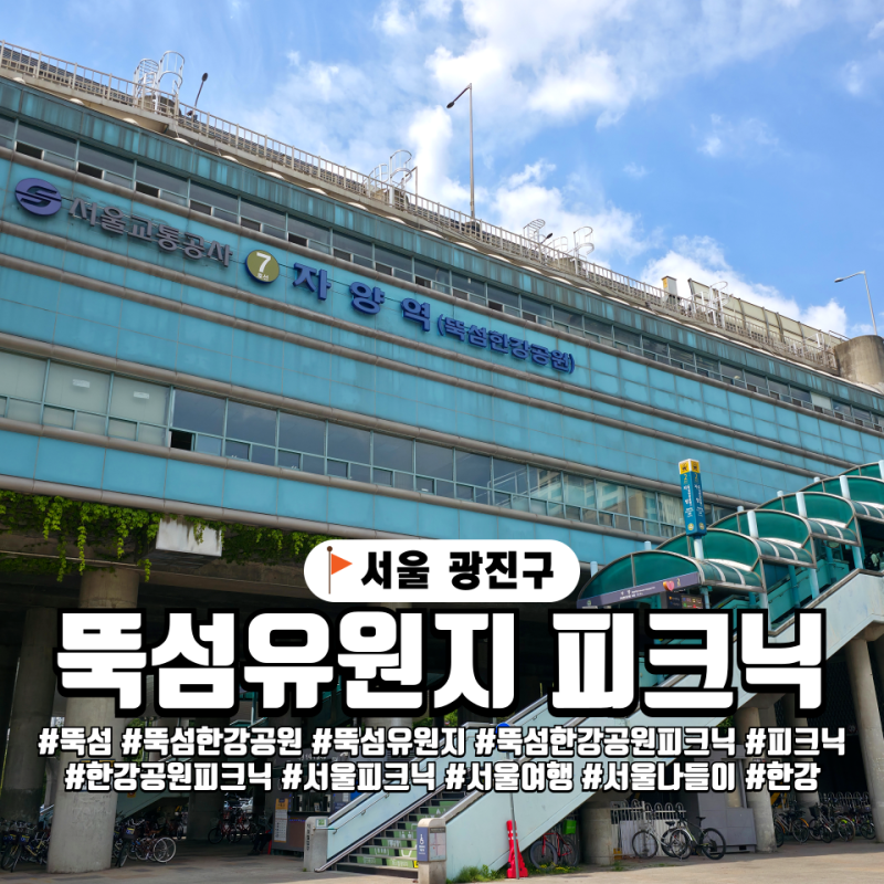 서울 뚝섬 한강공원으로 피크닉 가자! 뚝섬유원지 돗자리 텐트 구역과 배달존