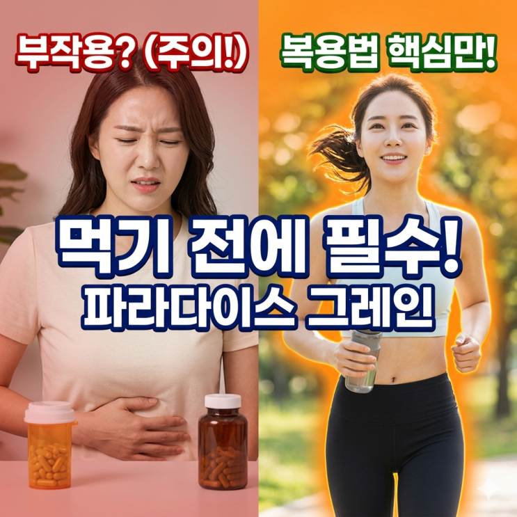  파라다이스 그레인 먹기 전에 반드시 알아야 할 부작용과 복용법