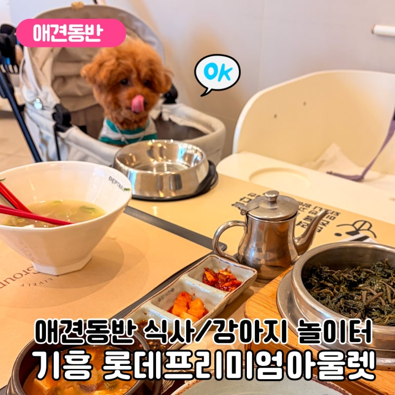 사진 10