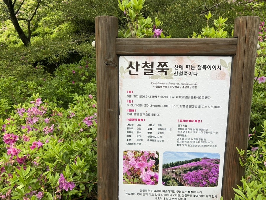 봉화정 사진 5